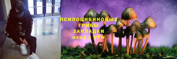 стаф Ростов