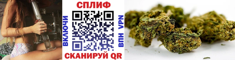 Шишки марихуана White Widow  где найти   Приморско-Ахтарск 